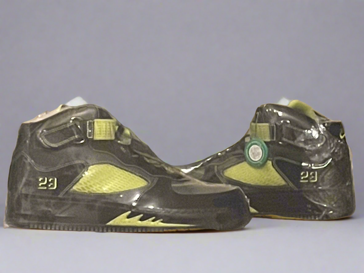 2008 Air Jordan Force 5 LS